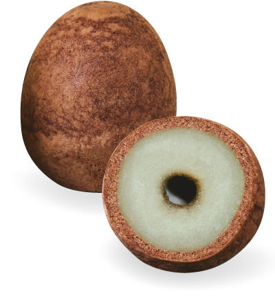 チーズ香るかもめの玉子