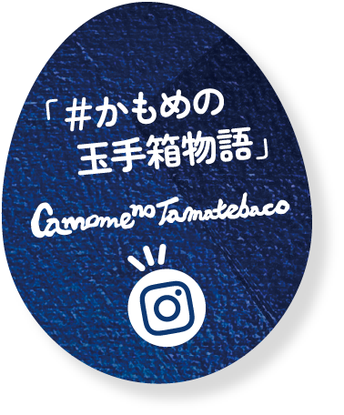 かもめの玉手箱物語